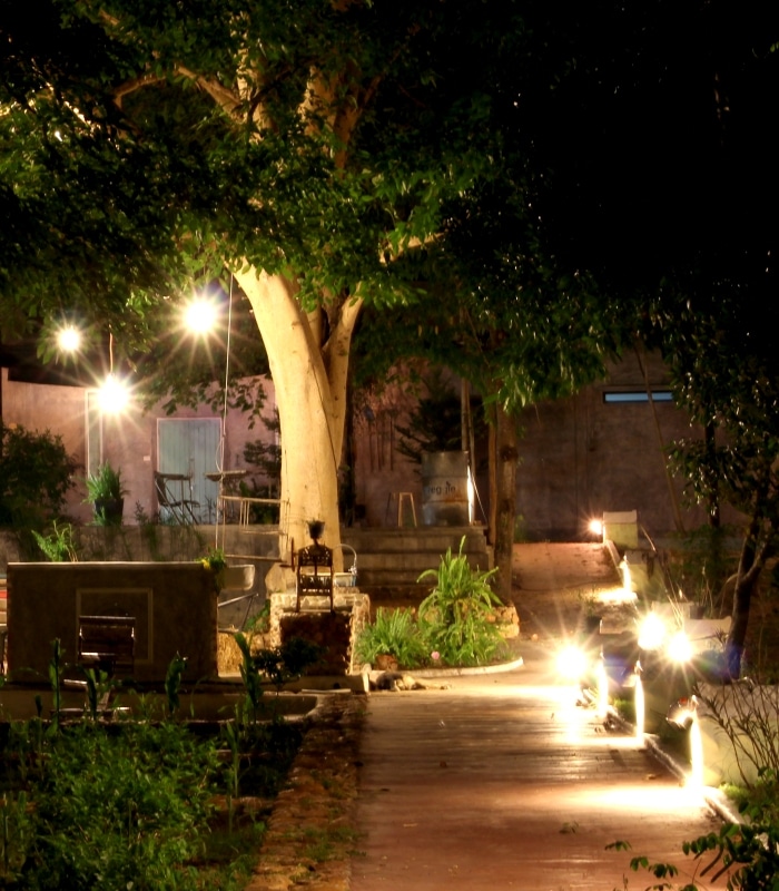 Night scene showcasing commercial landscape lighting illuminating a walkway lined with lush greenery and a large tree, enhancing the outdoor space. Pressure washing may be needed to keep the area pristine.