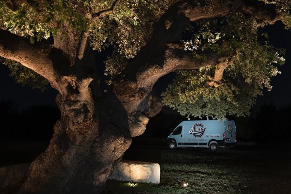 A majestic, illuminated oak tree at night, showcasing professional outdoor lighting design. A van with the company logo is parked beneath its sprawling branches. 