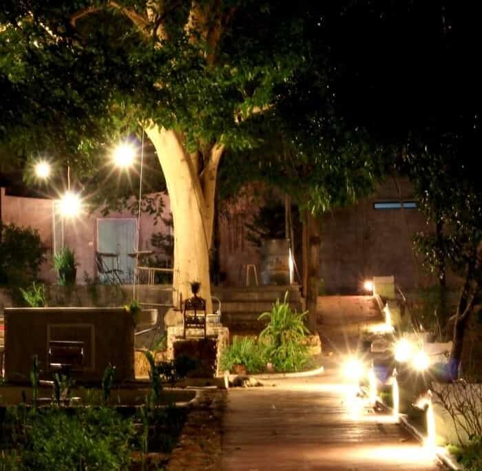 Night scene showcasing commercial landscape lighting illuminating a walkway lined with lush greenery and a large tree, enhancing the outdoor space. Pressure washing may be needed to keep the area pristine.