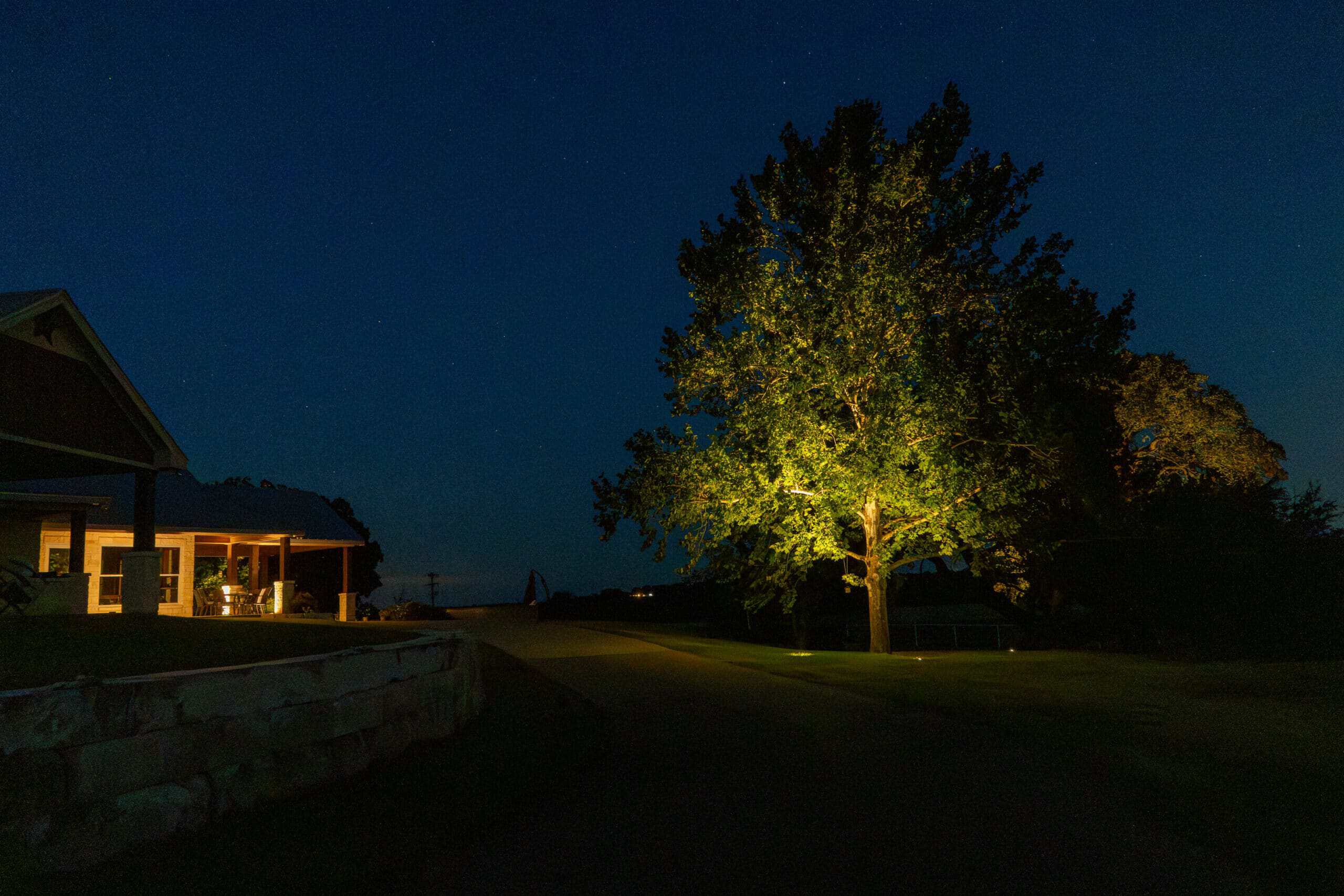Big tree illuminated with outdoor lighting, off to the left you see the front porch of a house illuminated with outdoor lighting, with the night sky above them.
