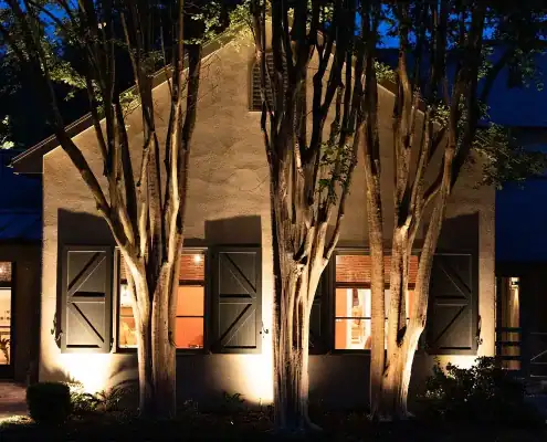 Night house facade with three slender trees lit from below, casting shadows on a stucco wall in front of three shuttered windows glowing with warm light.