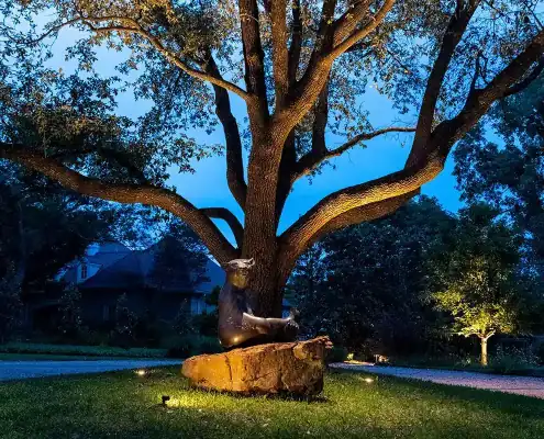 Large oak tree at dusk with ground lights illuminating a reclining animal sculpture on a stone in a front yard.