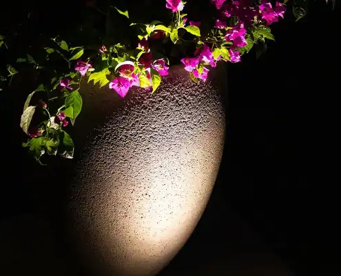 Spotlit textured stone planter with cascading green leaves and bright pink bougainvillea flowers against a dark background.