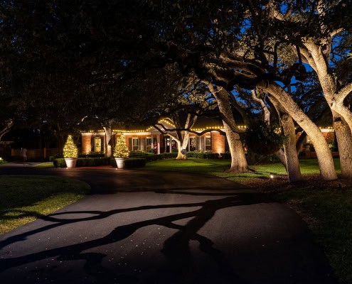 Ridgeview home at night, warmly lit with Christmas lights outlining the roof. Two small Christmas trees in pots flank the front walk, under large, dark trees casting shadows on the driveway.