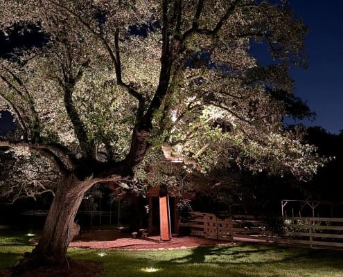 A majestic oak tree, beautifully illuminated at night, dominates the scene at "The Farm Project." A charming treehouse with a slide sits nestled beneath its branches, inviting adventure and play.