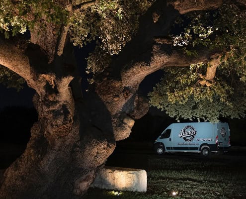 Night shot of a majestic, illuminated oak tree at The Goldfawn Ranch Project, with a Lumo's Outdoor Lighting service van parked nearby. The tree's gnarled branches and lush foliage are highlighted by strategic landscape lighting.