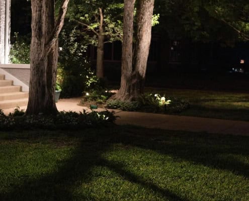 Nighttime view of a home's front yard featuring a stone walkway leading to illuminated steps. Trees are lit from below, adding a soft glow to the landscape, enhancing the beauty of The Maple Project.