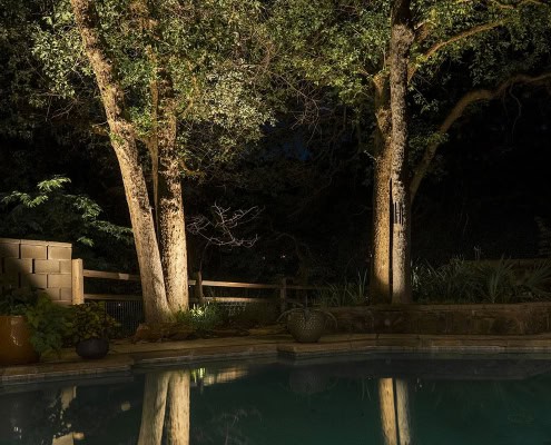 Night view of the Woodbriar Project's pool area, featuring illuminated trees reflecting in the water. Landscape lighting highlights the natural beauty of the backyard.