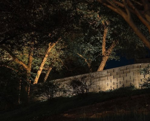 Night view of the Woodbriar Project's landscape lighting, showcasing up-lit trees against a retaining wall. Warm light highlights the trees' trunks and the wall's texture, creating a dramatic effect.
