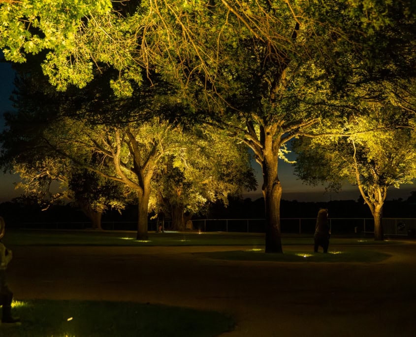 Multiple trees and small animal and human statues illuminated with outdoor lighting.